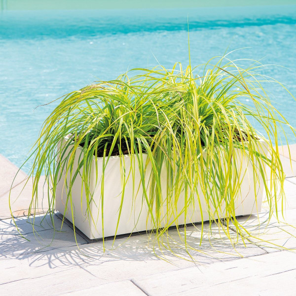 JARDINERA RECTANGULAR GRANDE