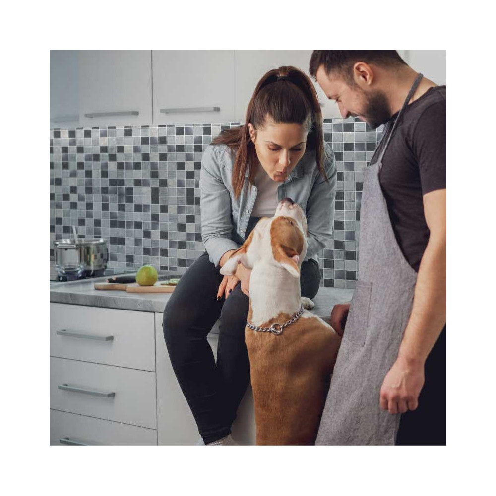 MOSAICO ARQUITECTO GRIS