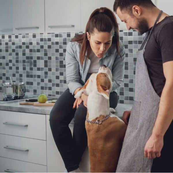 MOSAICO ARQUITECTO GRIS